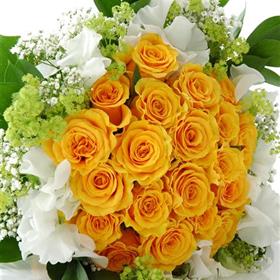 fwthumbDSC_0656.jpg