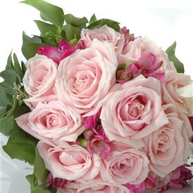 fwthumbDSC_4104.jpg